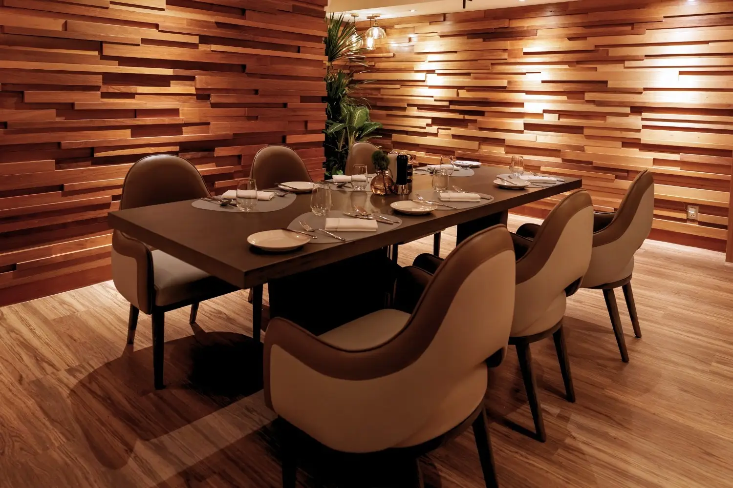 Basilico 3 basilico 1