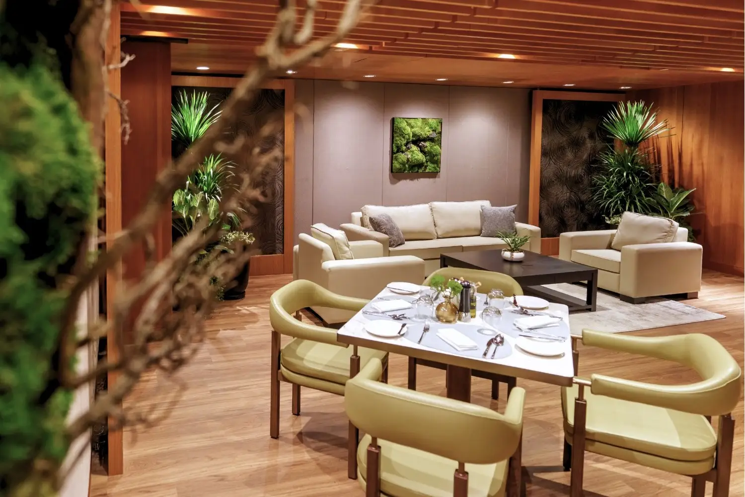 Basilico 5 basilico 2