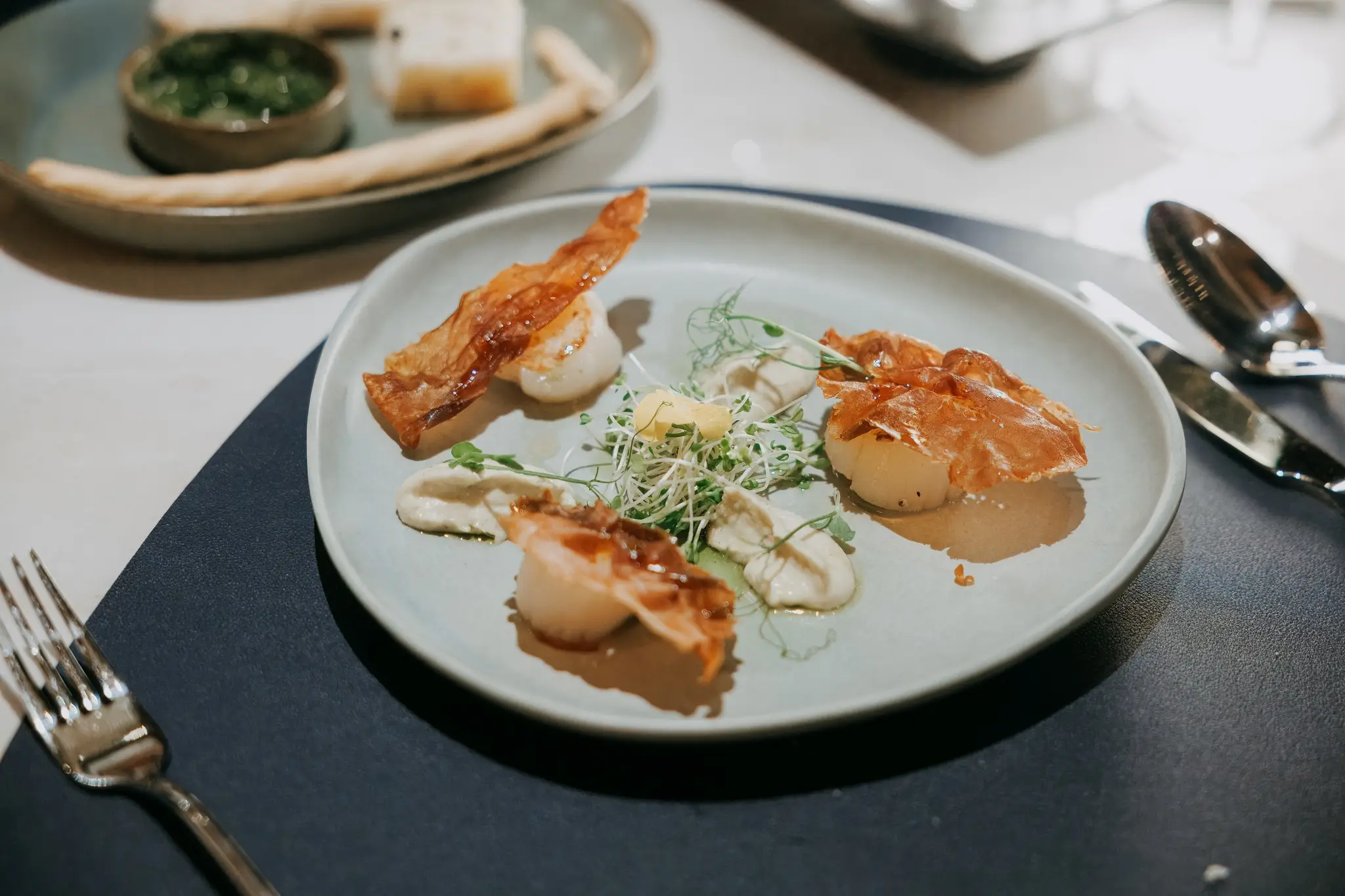 Basilico 4 basilico 5