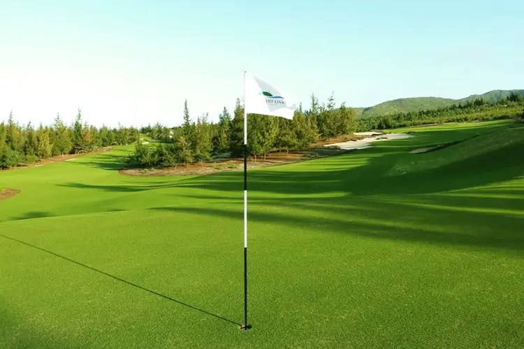 FLC Golf Links Quy Nhơn 4 flc quy nhon 3